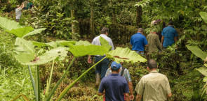 Preserving paradise: Chiquita Brands’ Nogal Reserve restoration project receives Preferred by Nature validation