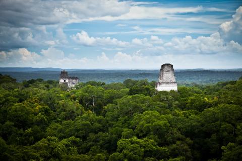 La Reserva de la Biosfera Maya de Guatemala lidera la gestión forestal responsable