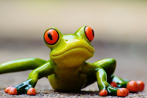 Did you spot the little green frog?, Preferred by Nature