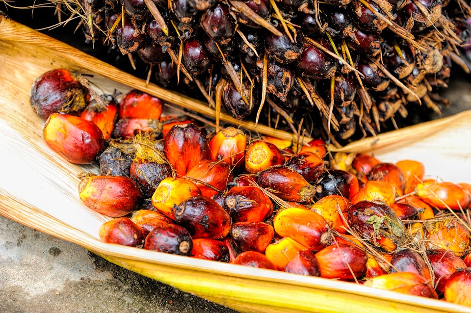 Palm oil