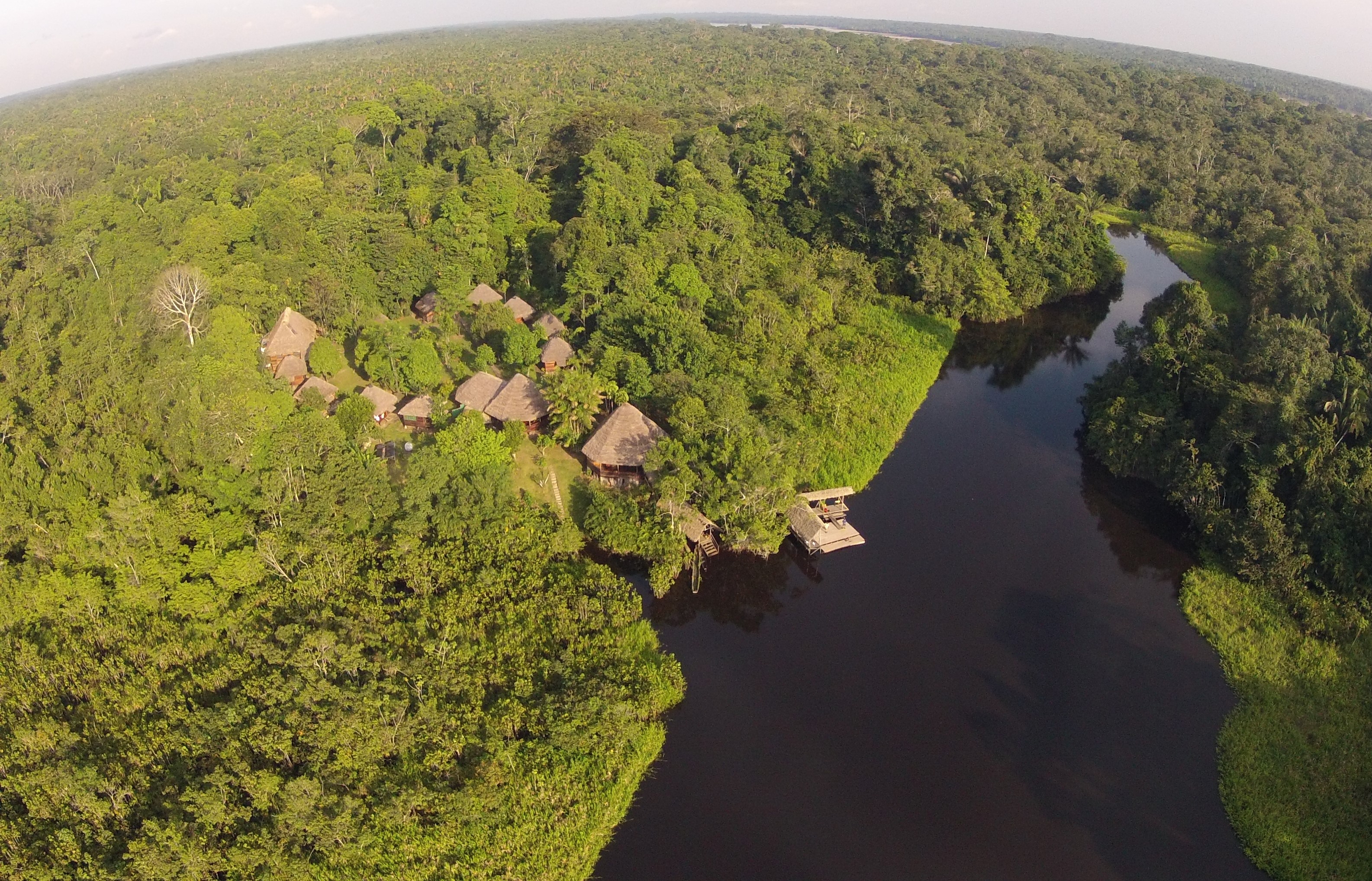 Tropic Amazone view