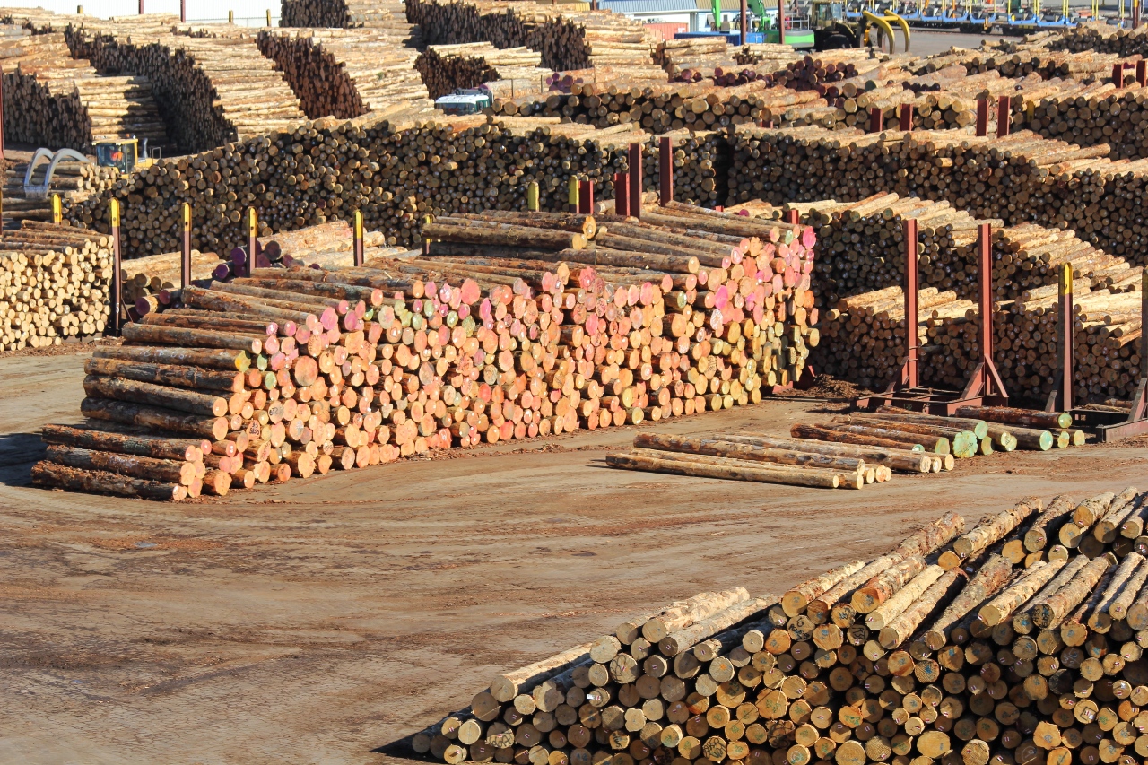 Logs awaiting being exported.