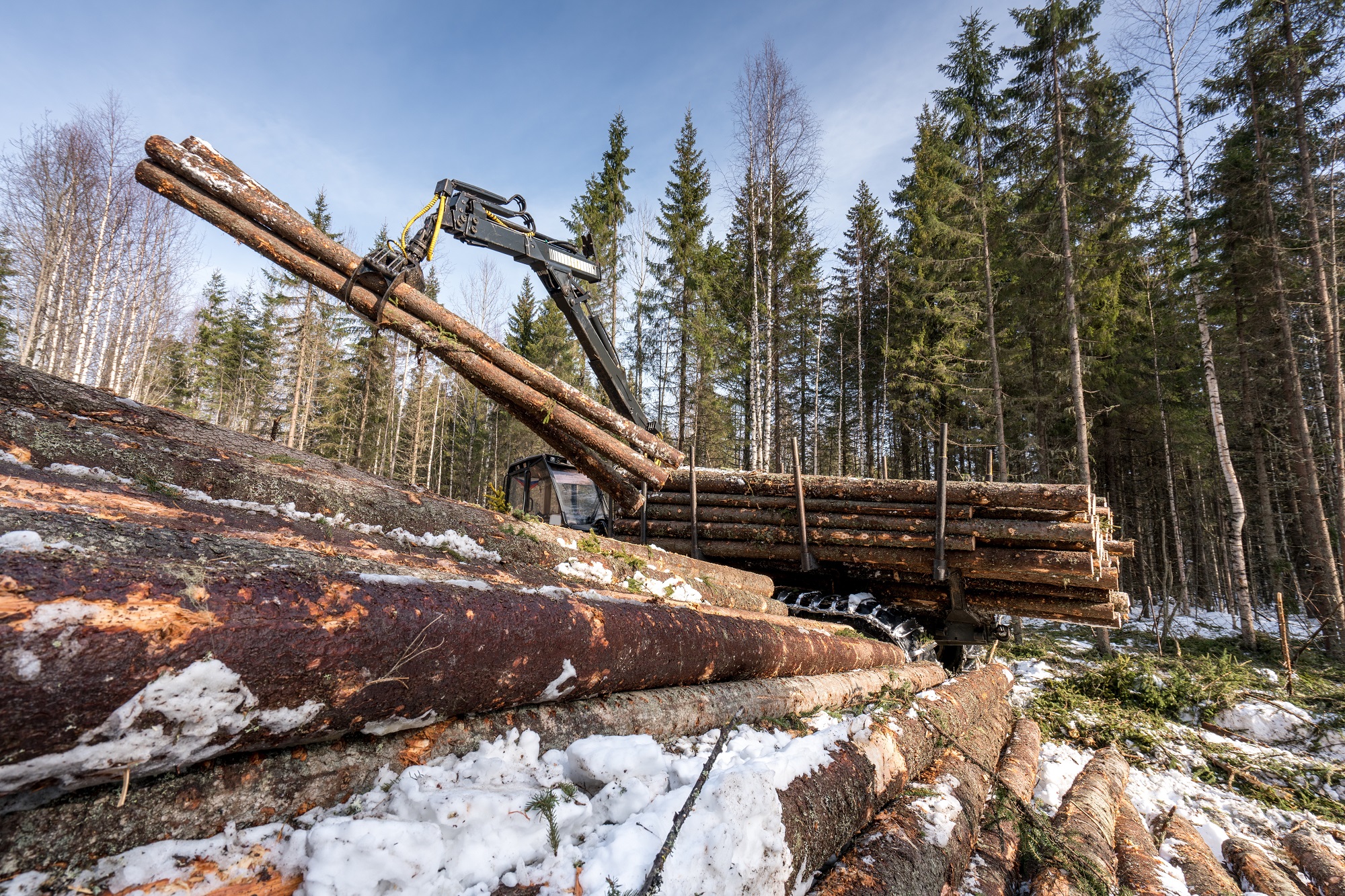 Preferred by Nature supports FAO in developing online portal TimberLex for forest-related legislation and timber legality 
