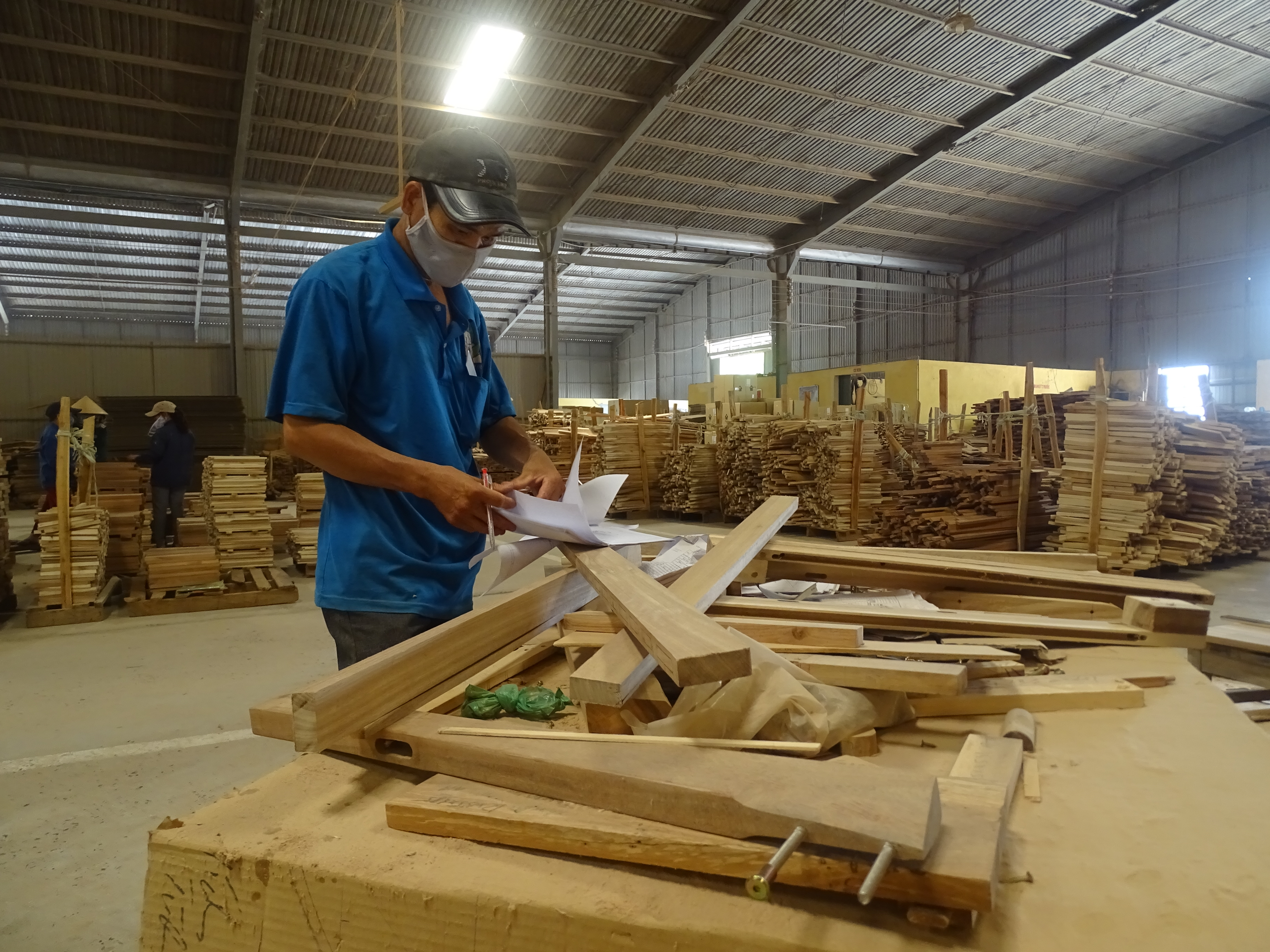 Supporting Vietnam's efforts to tackle illegal logging via a free timber legality toolkit 