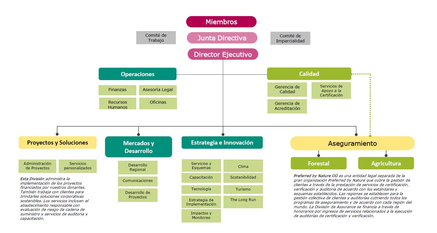 Estructura organizacional abril 2021