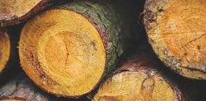 Logs close up