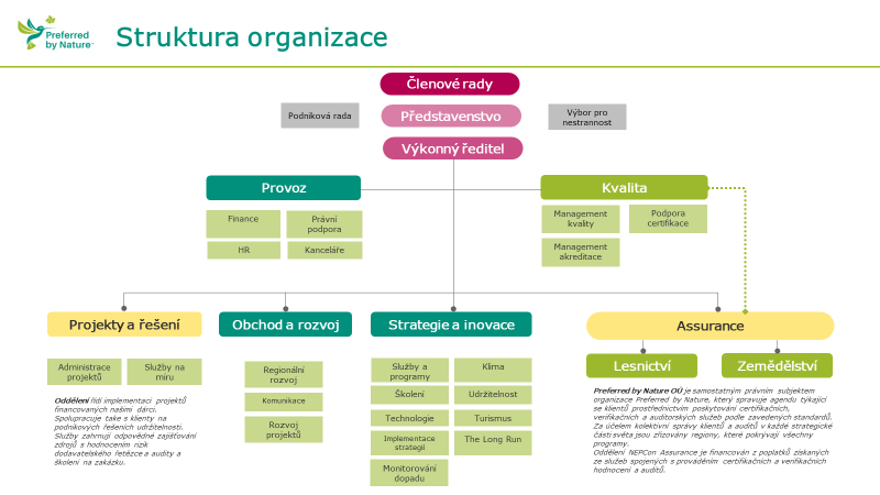 Struktura organizace