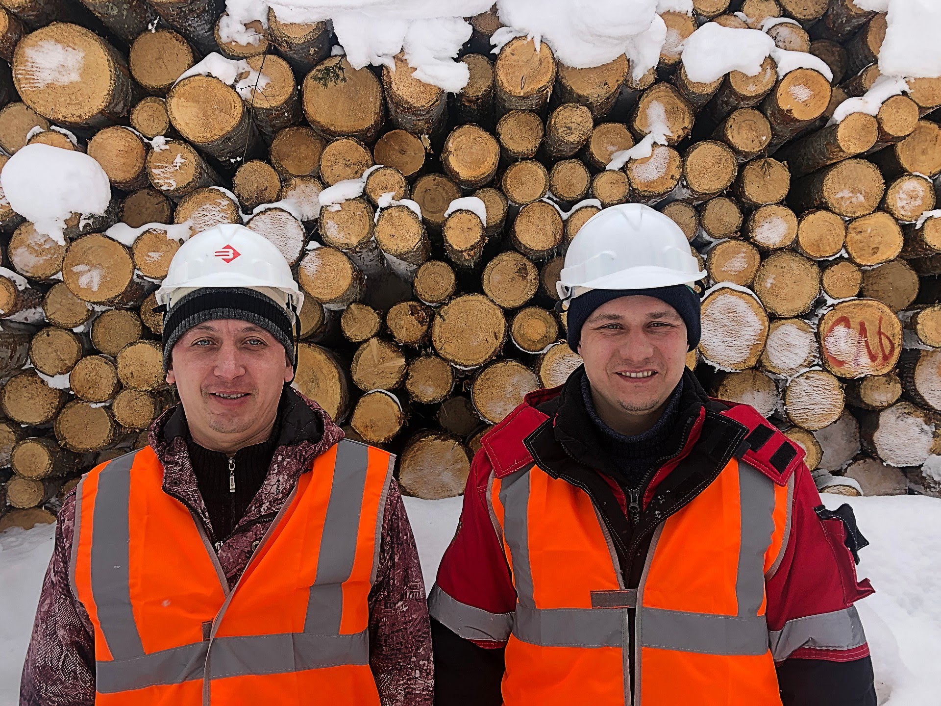 Foresters at work on central Siberia. Photo: Benjamin Holst