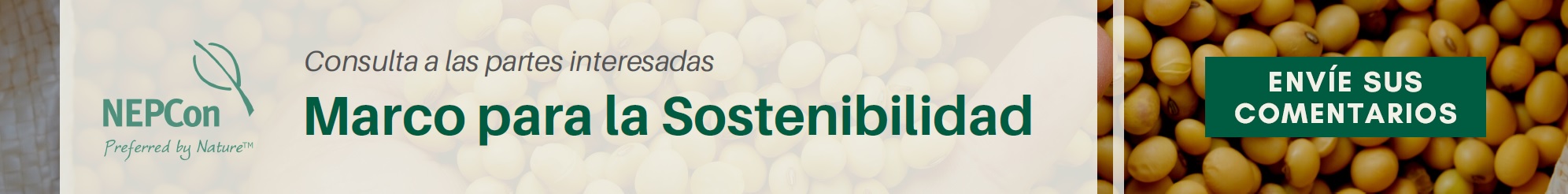 Sustainability Frame Workplan
