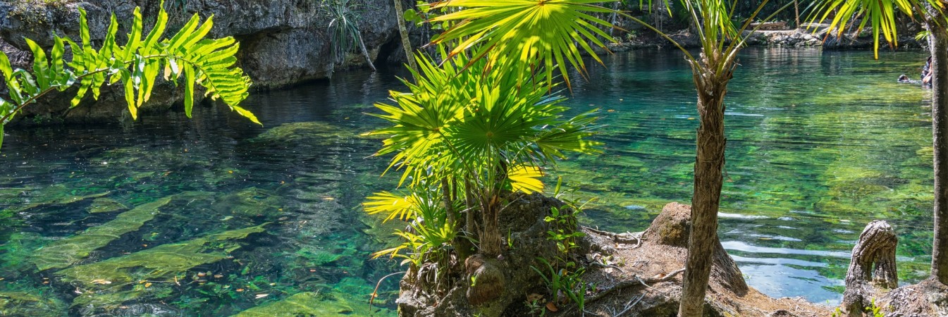 Mexico cenote 