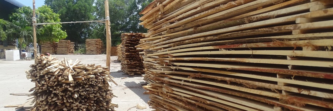 Timber in Vietnam