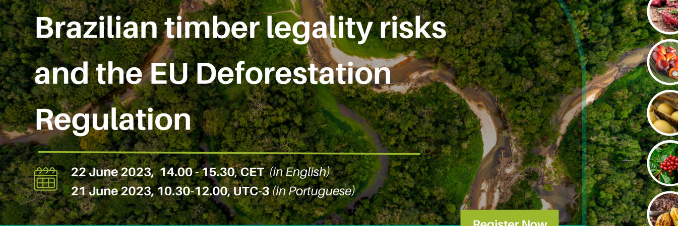 Webinar on Brazilian timber legality risks and the EU Deforestation Regulation