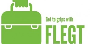 FLEGT logo