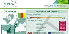 Forestry risk profile Cameroon
