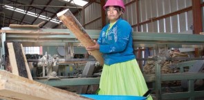 Rarámuri women moving the equity needle in the forestry labour force