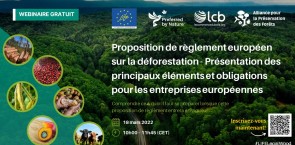 Proposition de règlement européen sur la déforestation - Présentation des principaux éléments et obligations pour les entreprises européennes