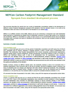 Synopsis from CFM Standard development process