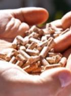 Sustainable biomass