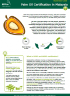 Palm oil case study