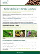 Rainforest Alliance Sustainable Agriculture