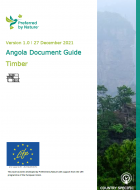 Angola document guide