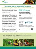 Rainforest Alliance Supply Chain Infosheet