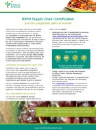 RSPO Supply Chain Infosheet