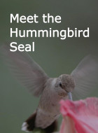 Gaining access to the Hummingbird Seal Use