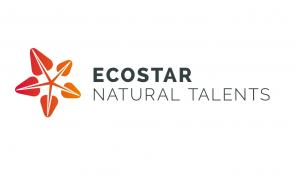Ecostar logo