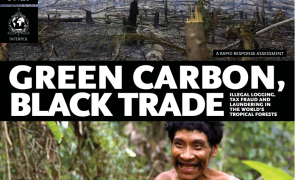 Green carbon black trade report cover