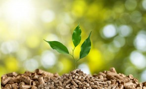 Her er vores anbefalinger til bæredygtig biomasse