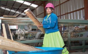 Rarámuri women moving the equity needle in the forestry labour force
