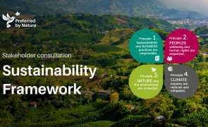 Alinierea cu EUDR: Sustainability Framework-ul dezvoltat de Preferred by Nature este acum disponibil pentru consultare publica