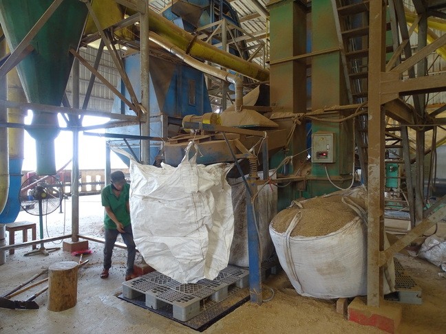 Workers conducting pellet production