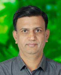 Pravin J Chopade